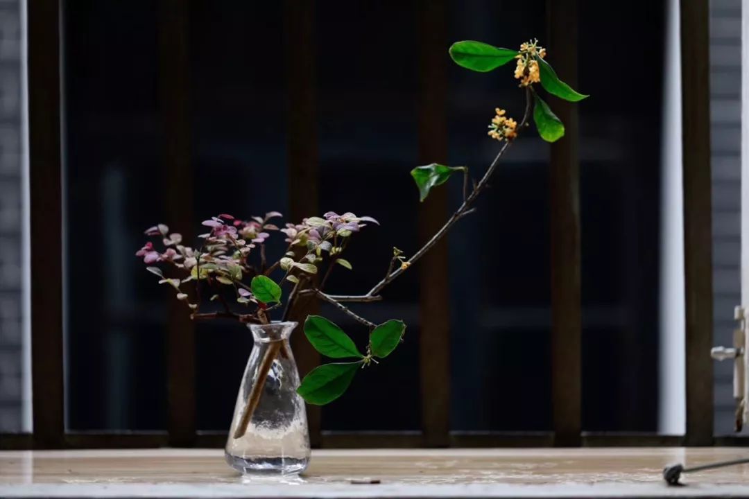 闲居，人生最大的奢侈-40