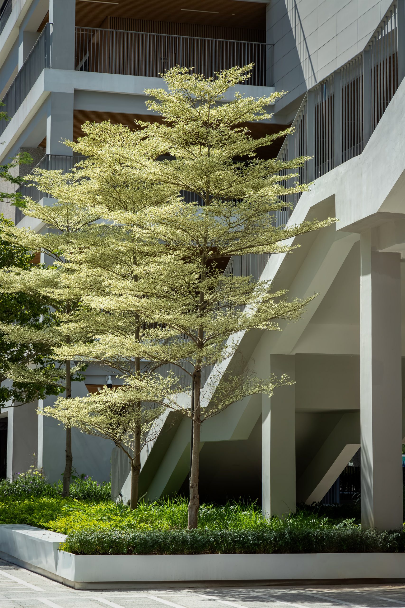 深圳市宝安中学(集团)海天学校丨中国深圳丨HILL 希尔景观-60