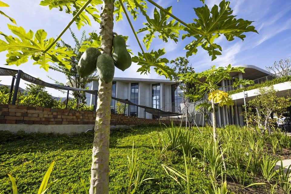 生态循环馆餐厅丨越南丨Takashi Niwa Architects-17