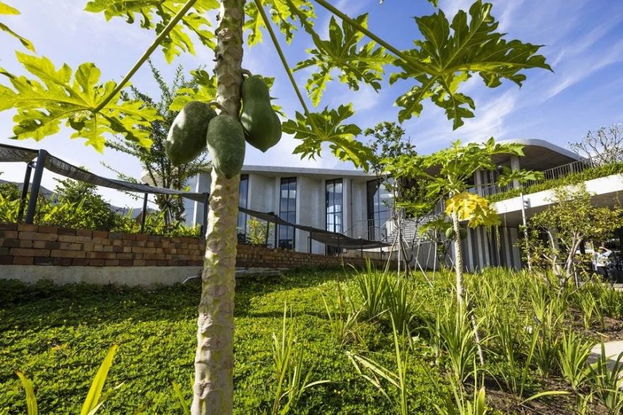 生态循环馆餐厅丨越南丨Takashi Niwa Architects-17