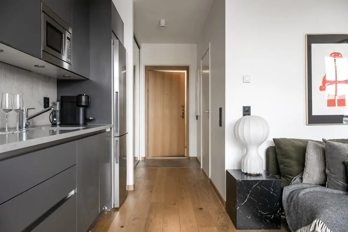 瑞典 33m²精致一居,现代功能之选-10