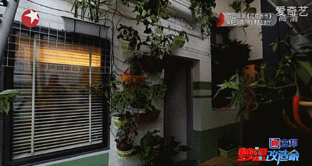 那些曾刷爆朋友圈的“爆改蜗居”，居住一年之后，后续惨状却是…-150