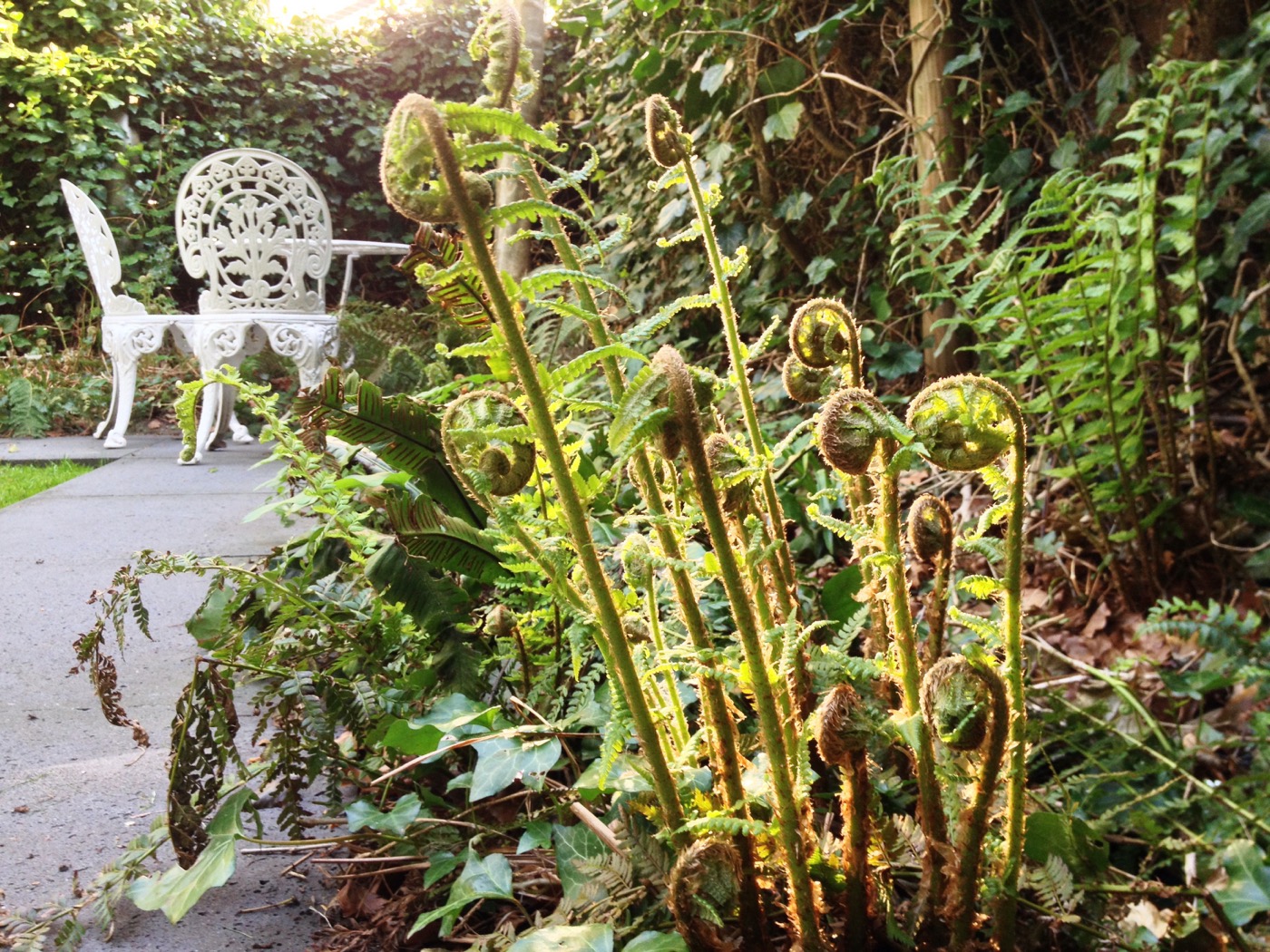 城市中的红名单花园丨Buro Harro-10