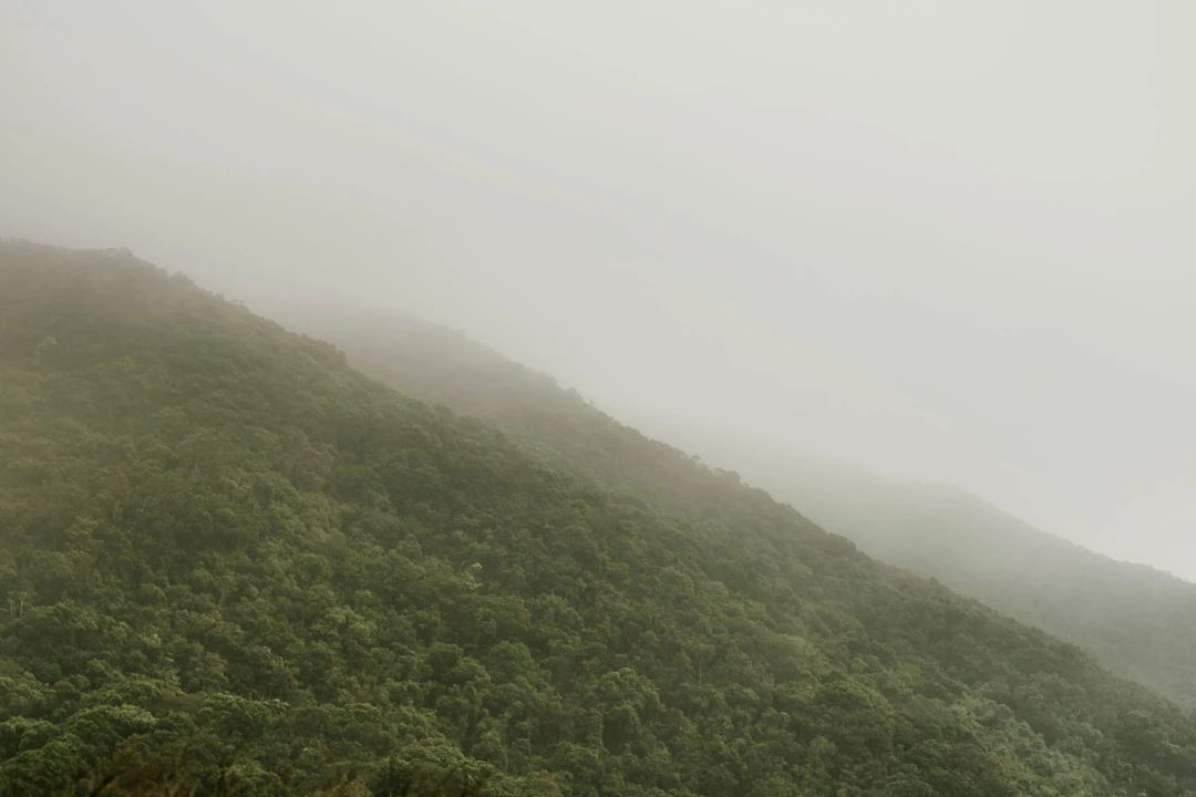 香港浅水湾住宅丨中国香港丨Norm Architects-1