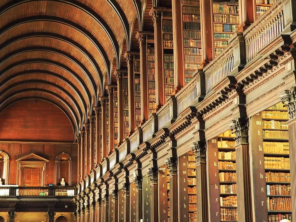 全球「最美图书馆」大赏 | 书香宁静,自然美好-61