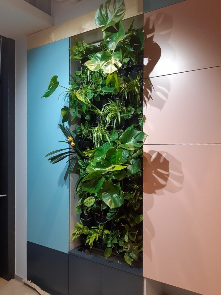 Vodeno公司的活体植物绿墙项目丨波兰华沙丨4Nature System团队-18