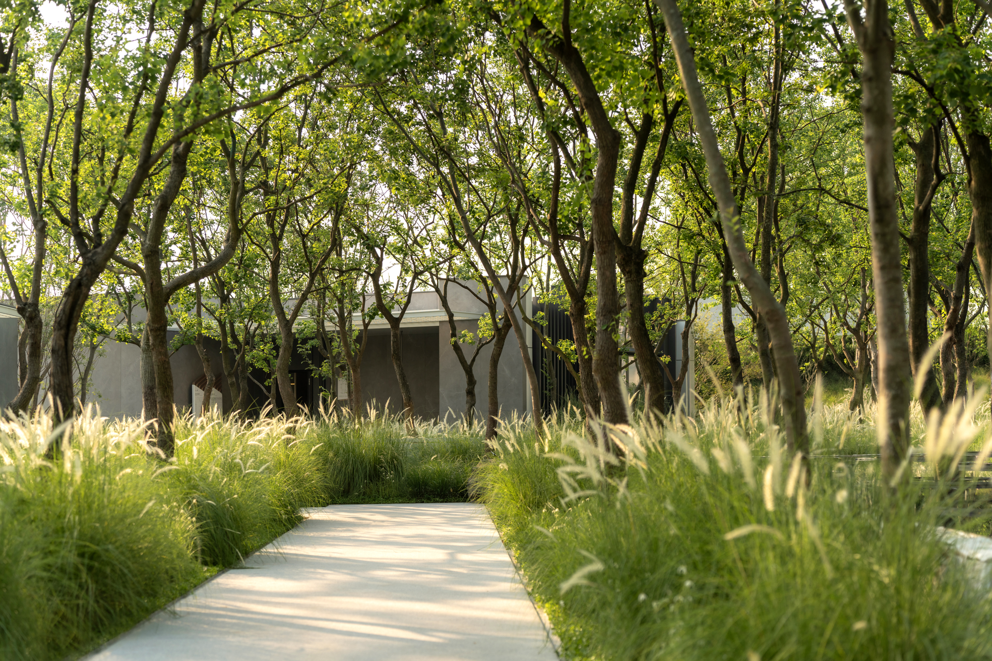 成都麓湖C7玄鸟湾示范区丨中国成都-47