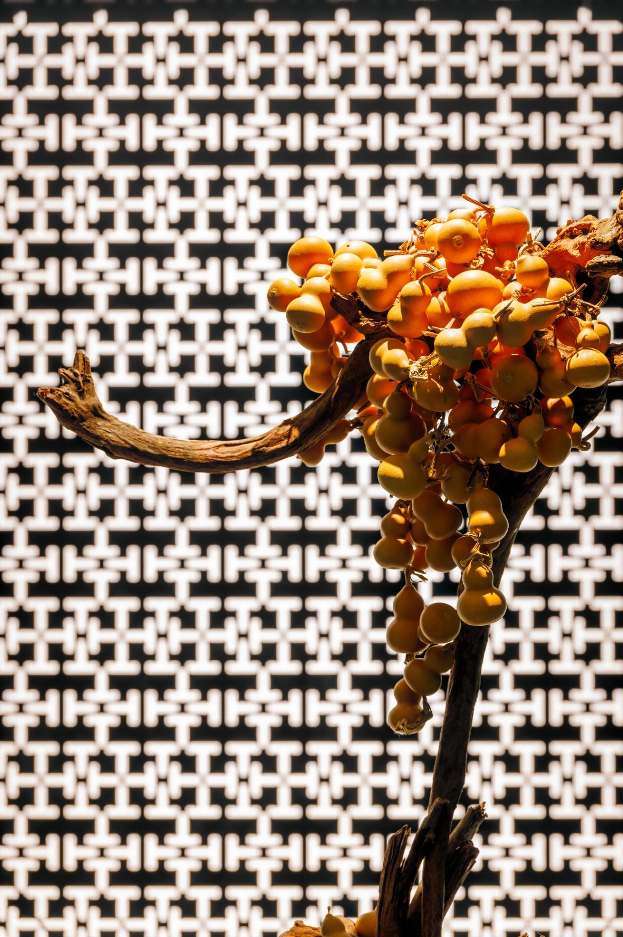 特普丽壁纸艺术馆丨中国北京丨超级符号设计事务所-63