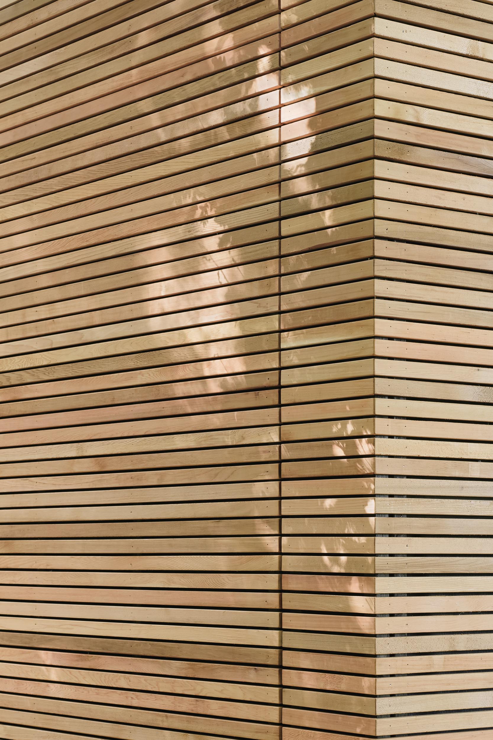 窥镜旅舍丨英国丨Michael Kendrick Architects-41