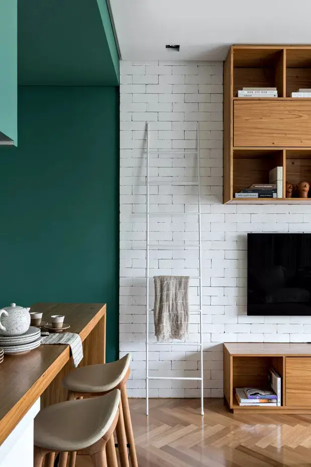 绿意盎然的巴西 44 平米公寓 | 自然元素打造清晰空间-4