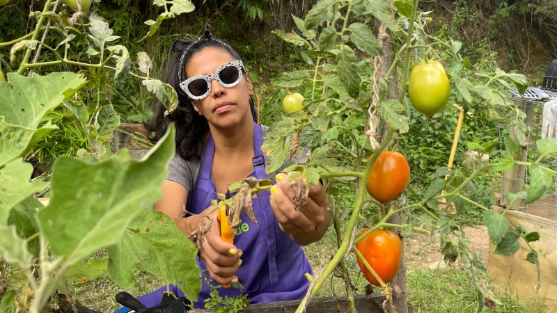 Vida Verde社区教育空间项目丨委内瑞拉加拉加斯-62