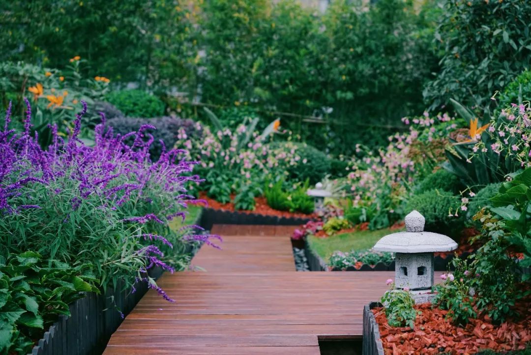 空中花园的粉紫色浪漫 | 乐梵造园的秋韵花境改造-15