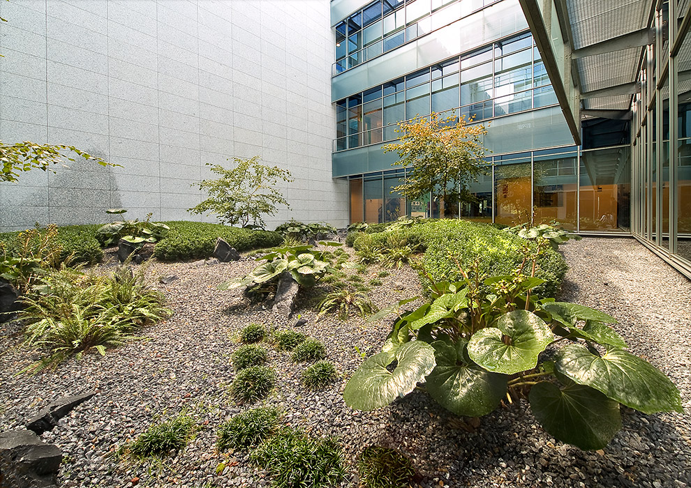 Madrid 办公大楼庭院花园 · 有机自然主义的设计实践-18