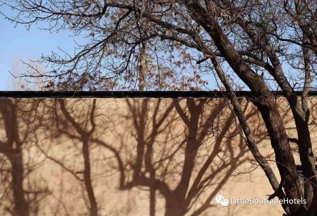 墟里•大湾村-51