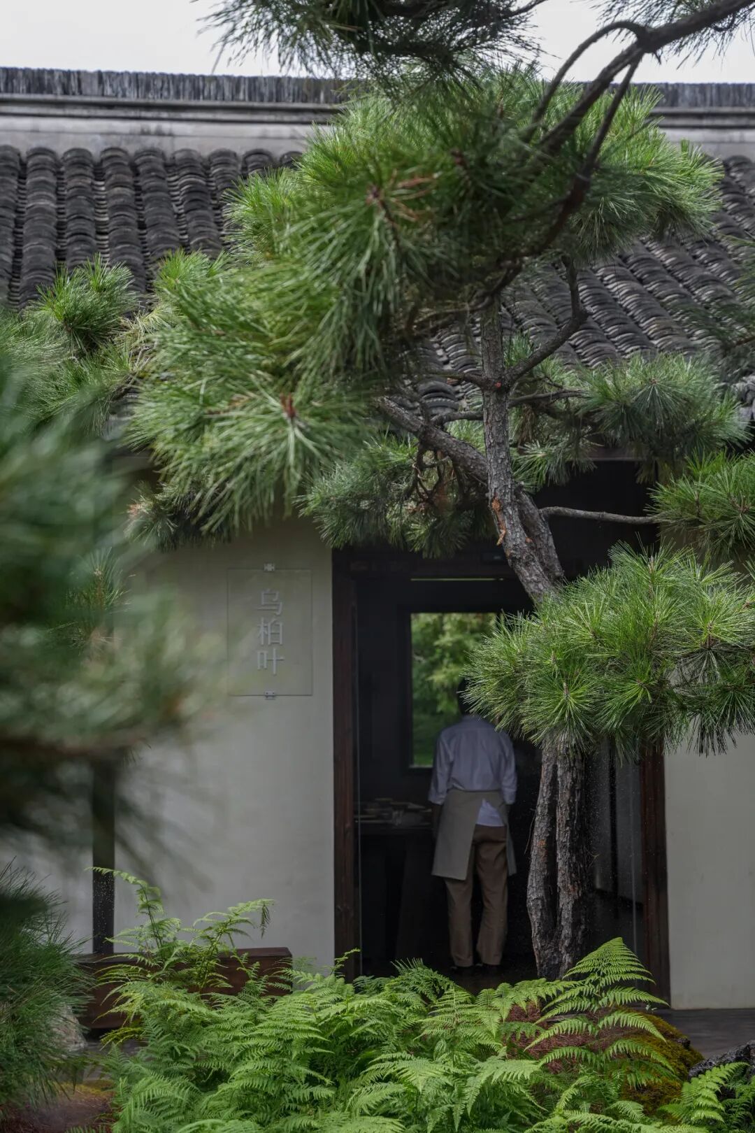 未竟园|当浦东百年历史民宅遇见京都苔寺，会生出怎样的新花园？-52