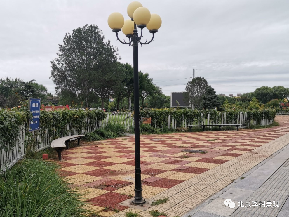 房山府前广场“拆栏透绿”改造丨中国北京丨房山区园林绿化局-25