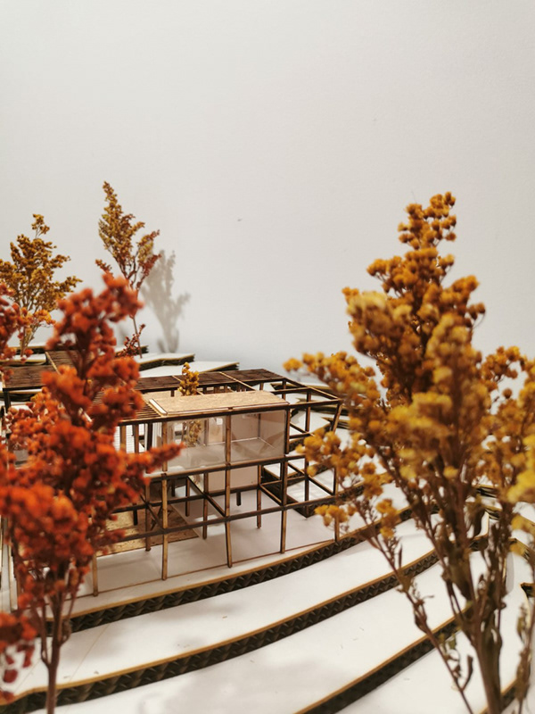 项目地点丨哥伦比亚丨CF_Proyecto_Lugar_Entre_Tejidos-8