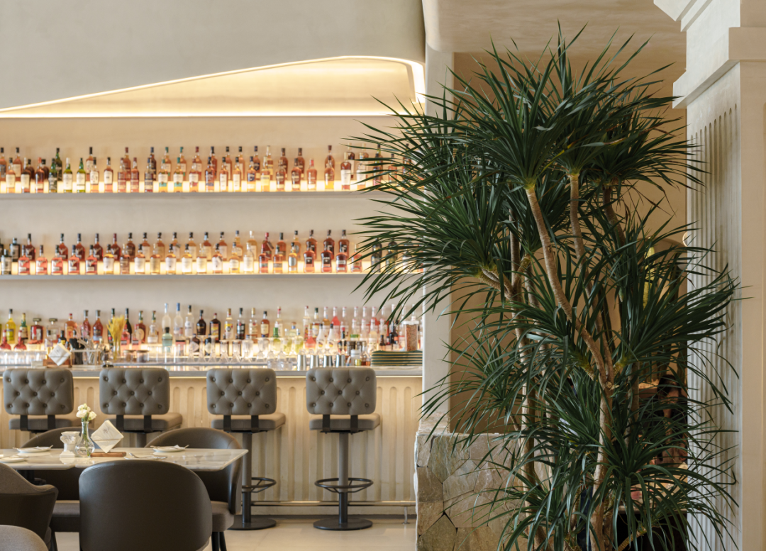 TARENTUM 萄木·Café BAR丨中国深圳丨RBD DESIGN BOX-49