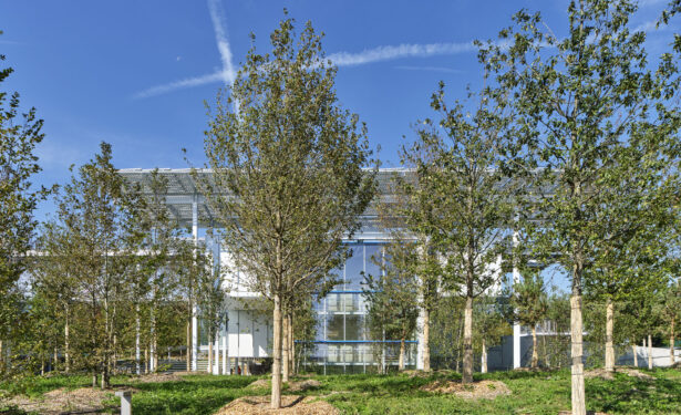 丨瑞士日内瓦-9