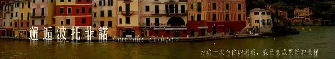 石头兄弟联创设计|天鹅飞过的地方，惊艳了时光。-76