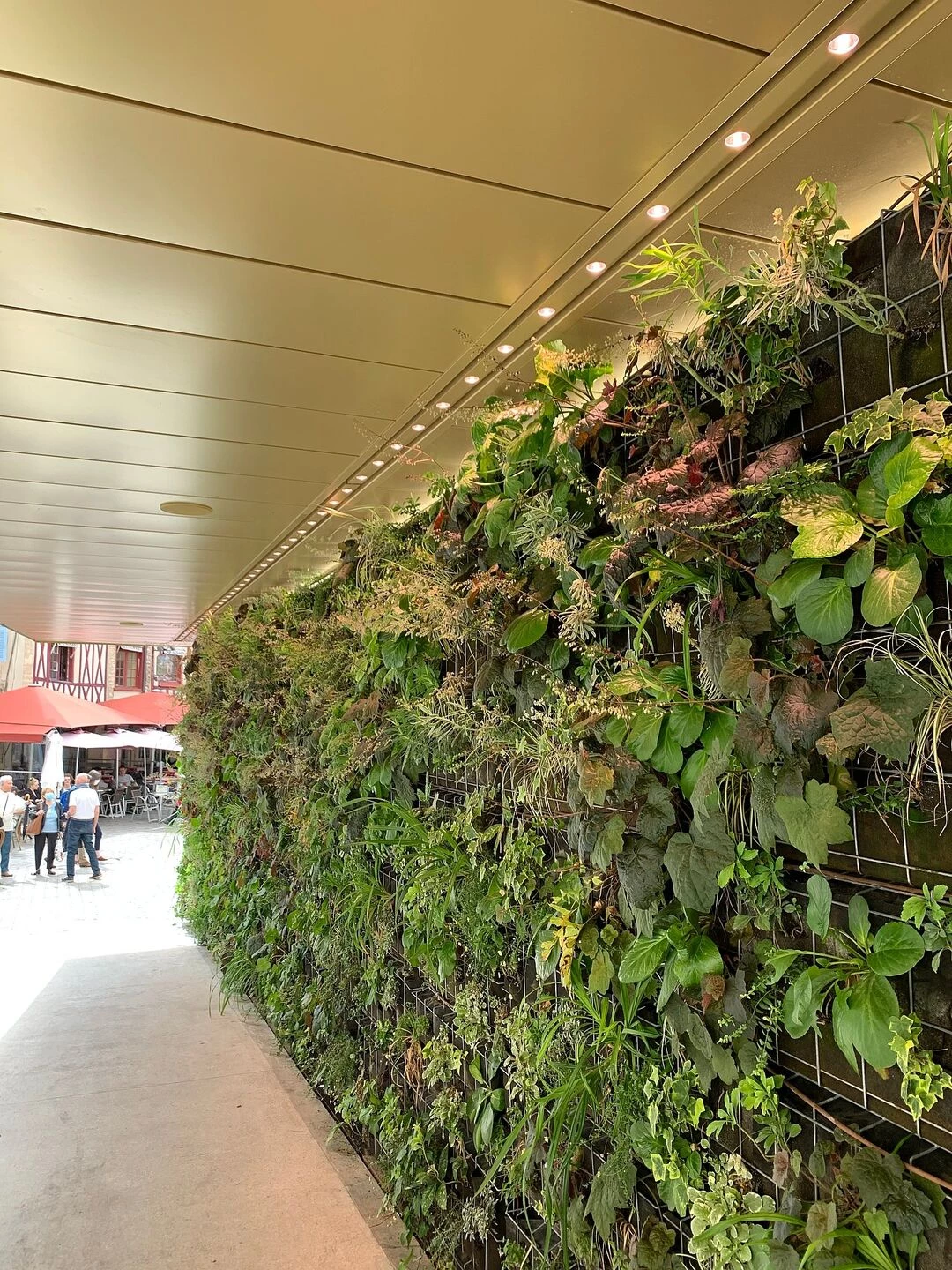 法国迪戎 Cour Bareuzai 历史建筑里的现代绿色办公空间-12