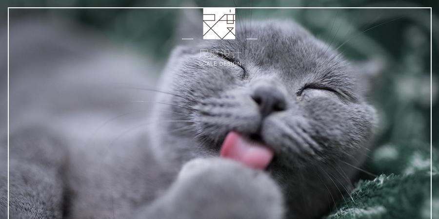 【宠物店】铲屎官们，请注意！萌宠的反转人…-0