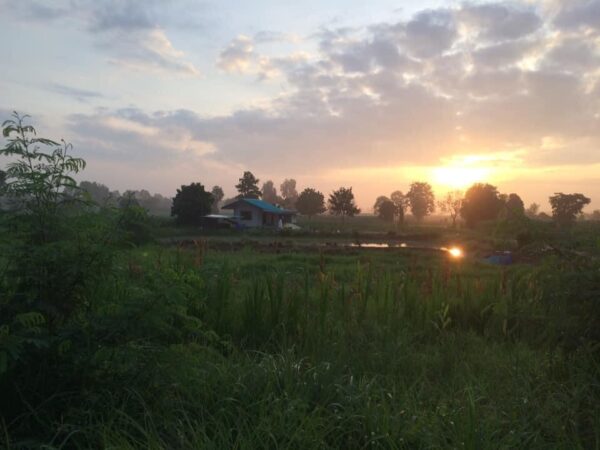 乡村稻田小住宅设计-22