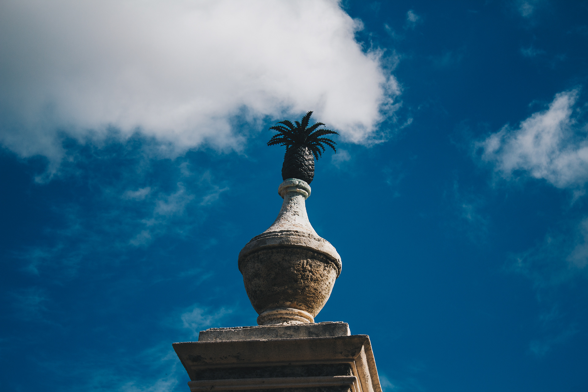 Julián 的摄影学习与实践丨哥伦比亚-19