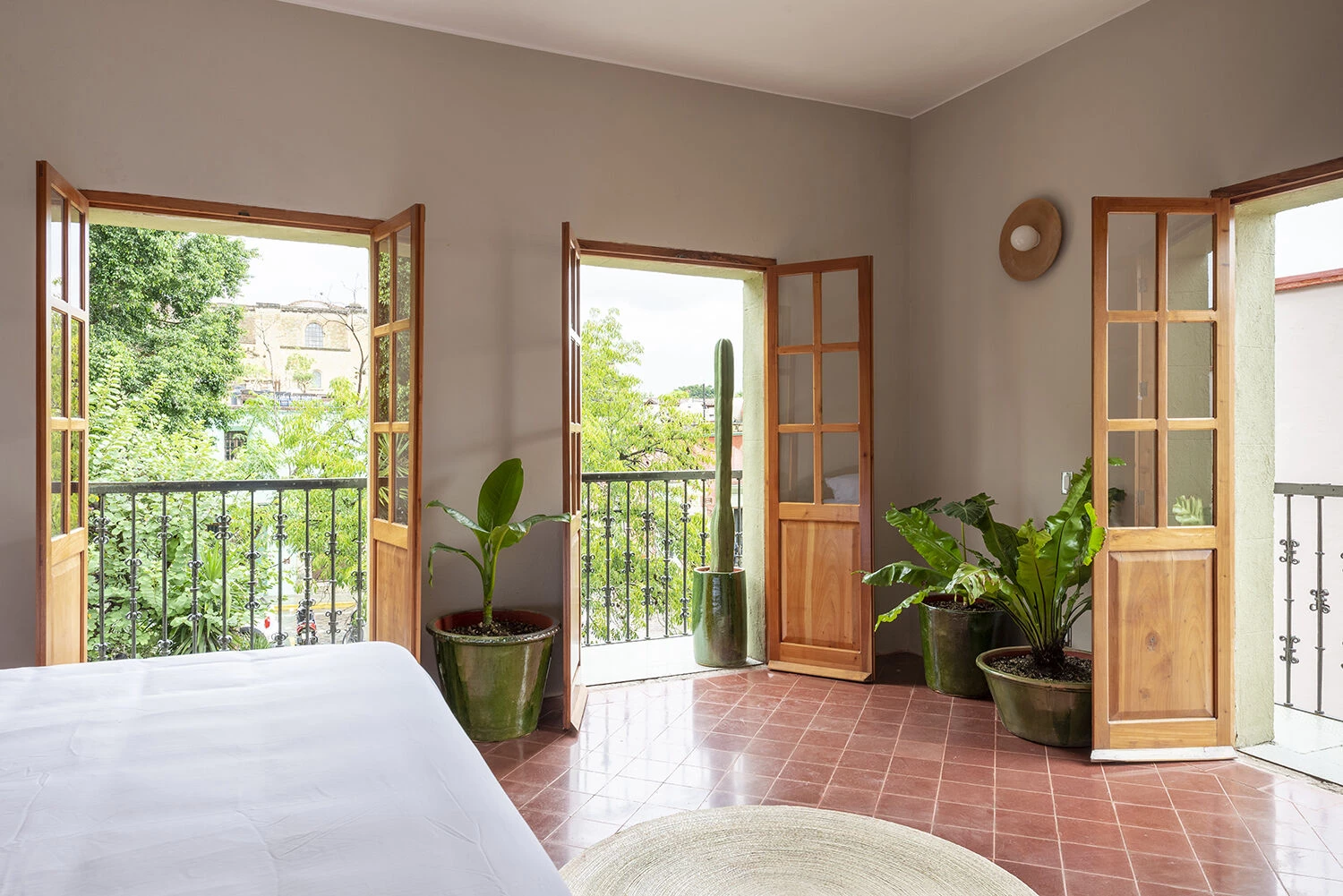 墨西哥 Oaxaca 古城中的色彩之旅——Grana BnB 酒店设计-46