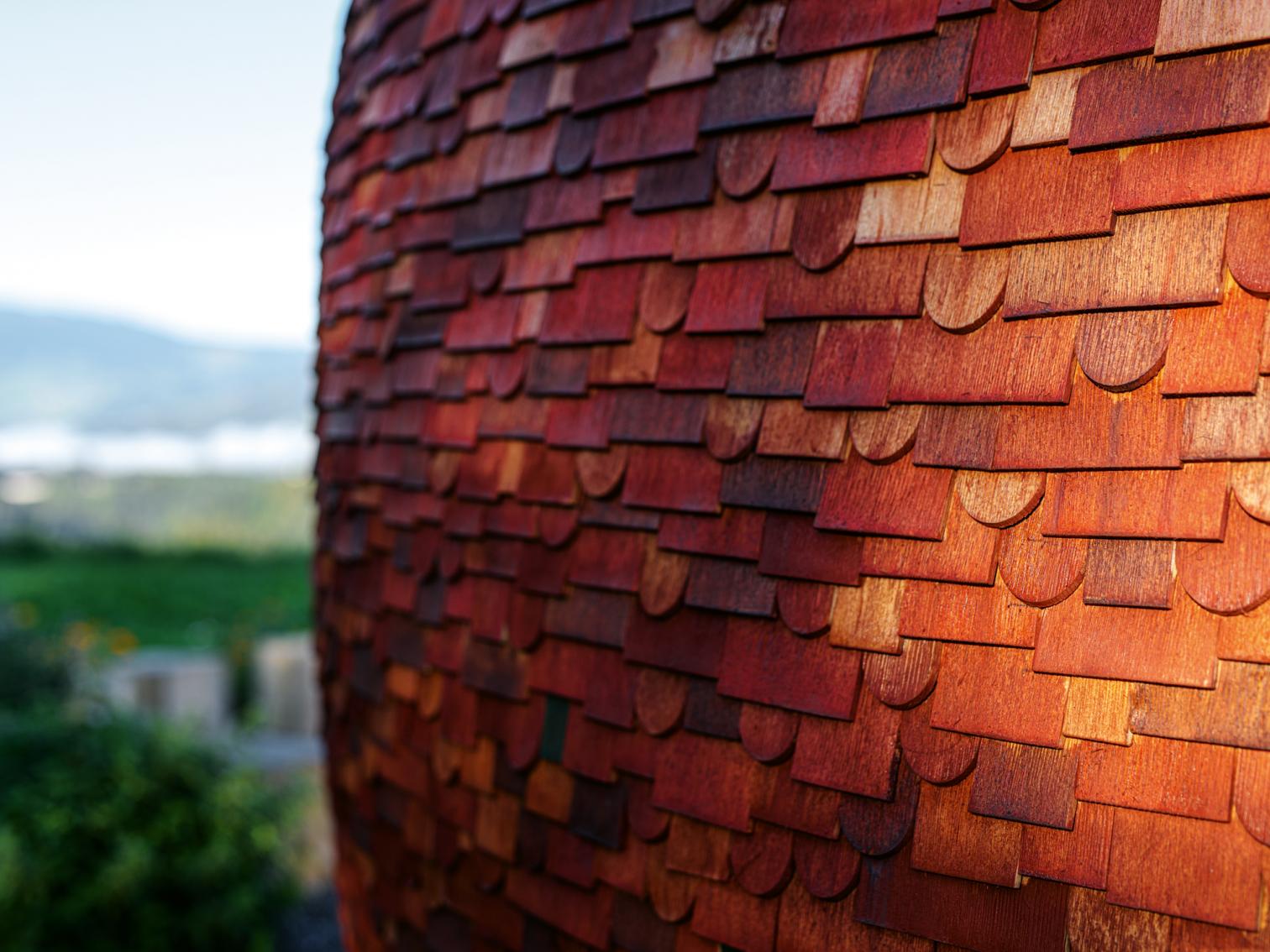 温暖泥巢 · Vorarlberg 生育中心丨奥地利福拉尔贝格-15