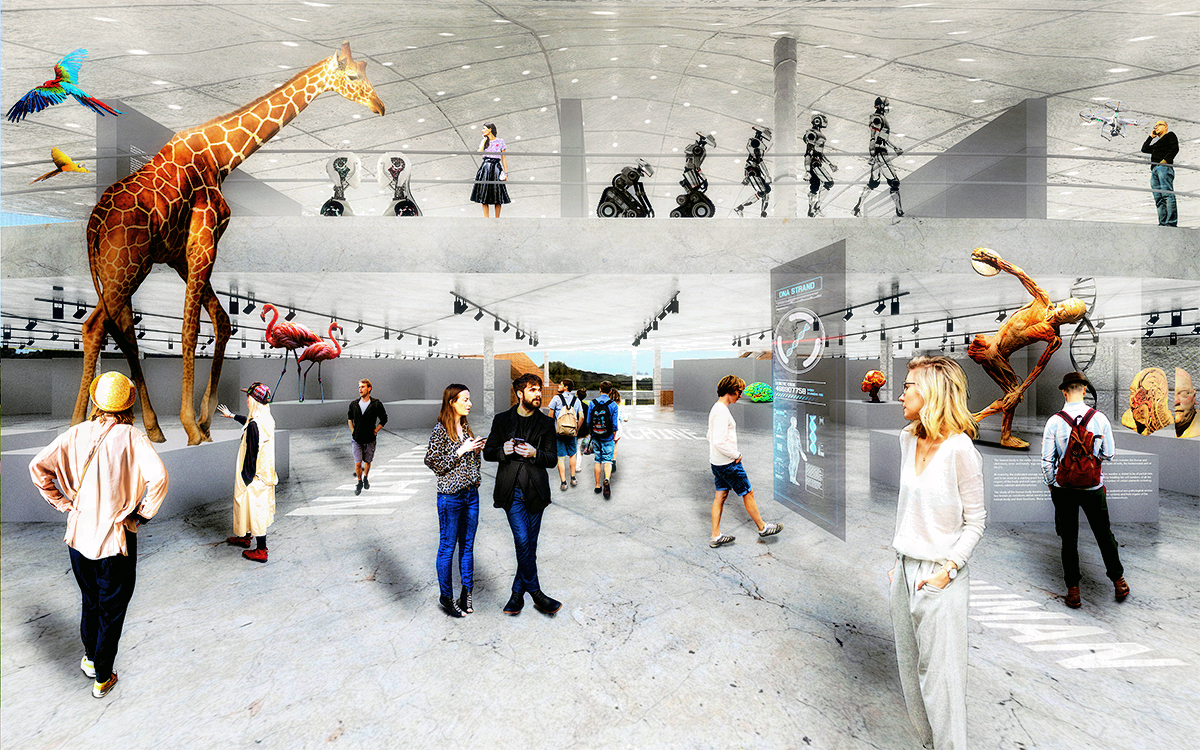 科学之岛 · 融入景观的科技文化中心-24