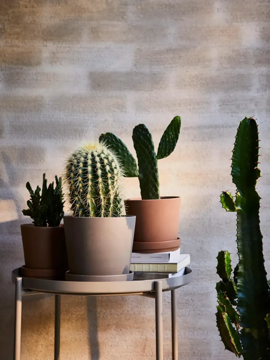 IKEA 2023 春季新品-27