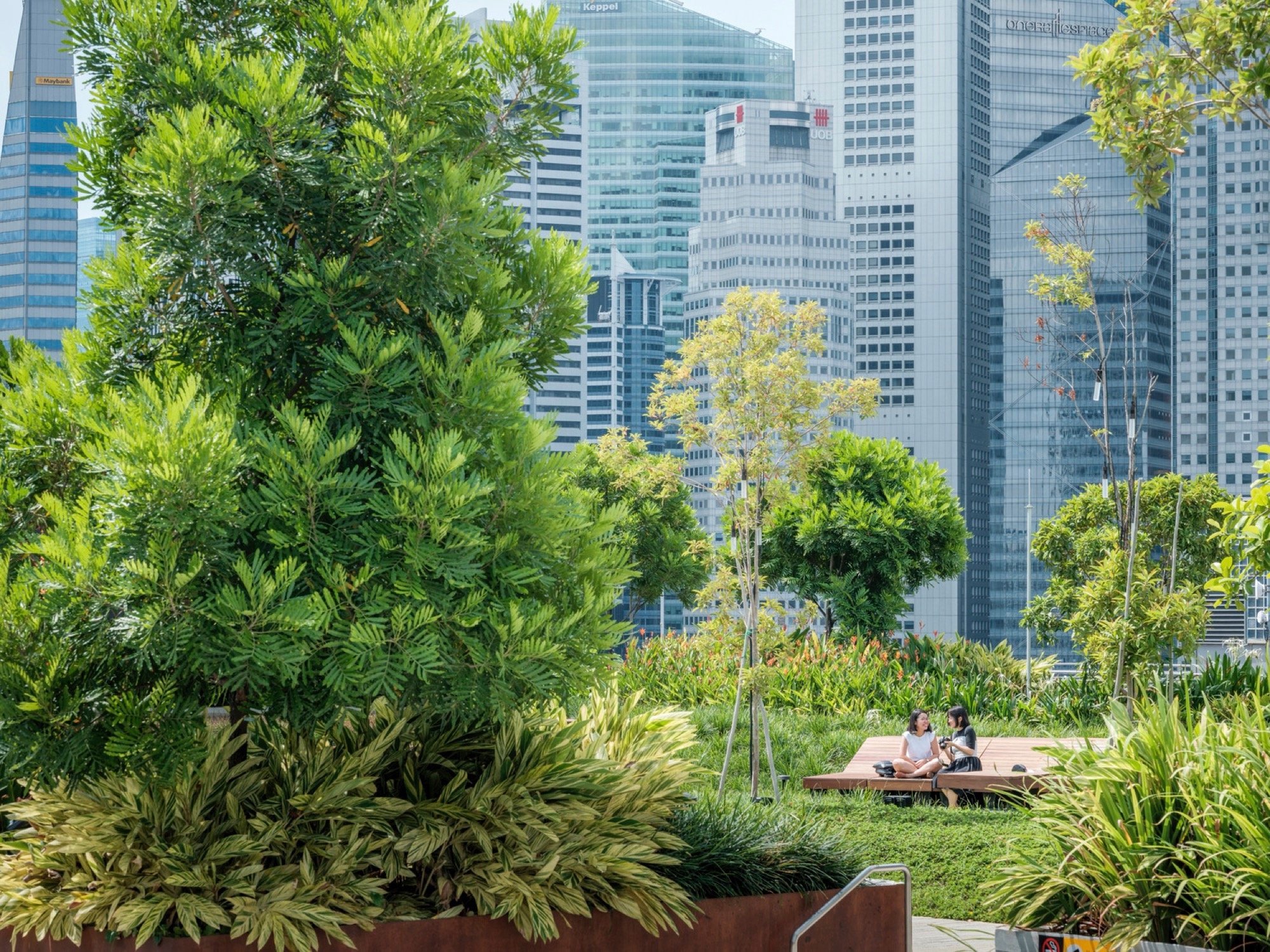 新加坡阜南购物中心周围景观丨grant associates 与 Woods Bagot 合作-21