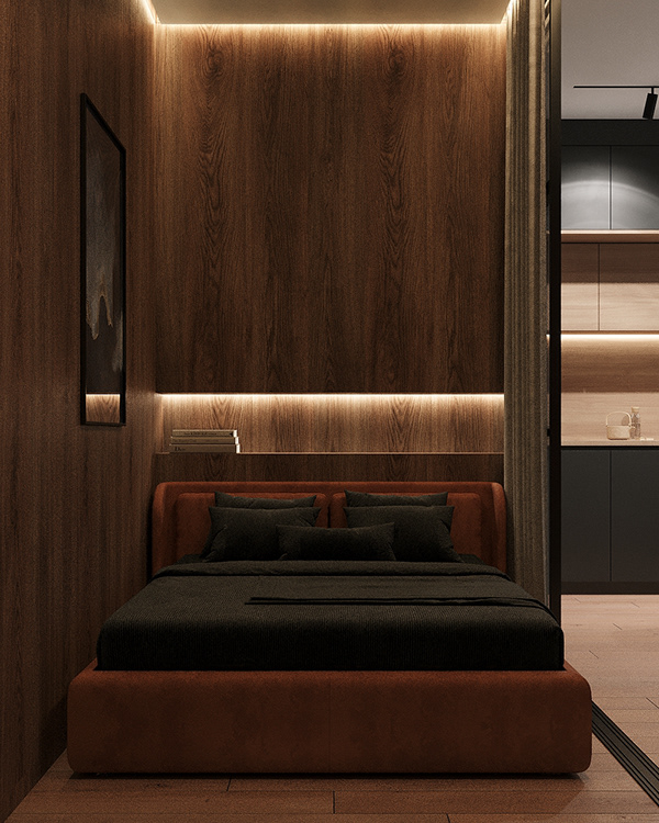 Apartment for a bachelor-3