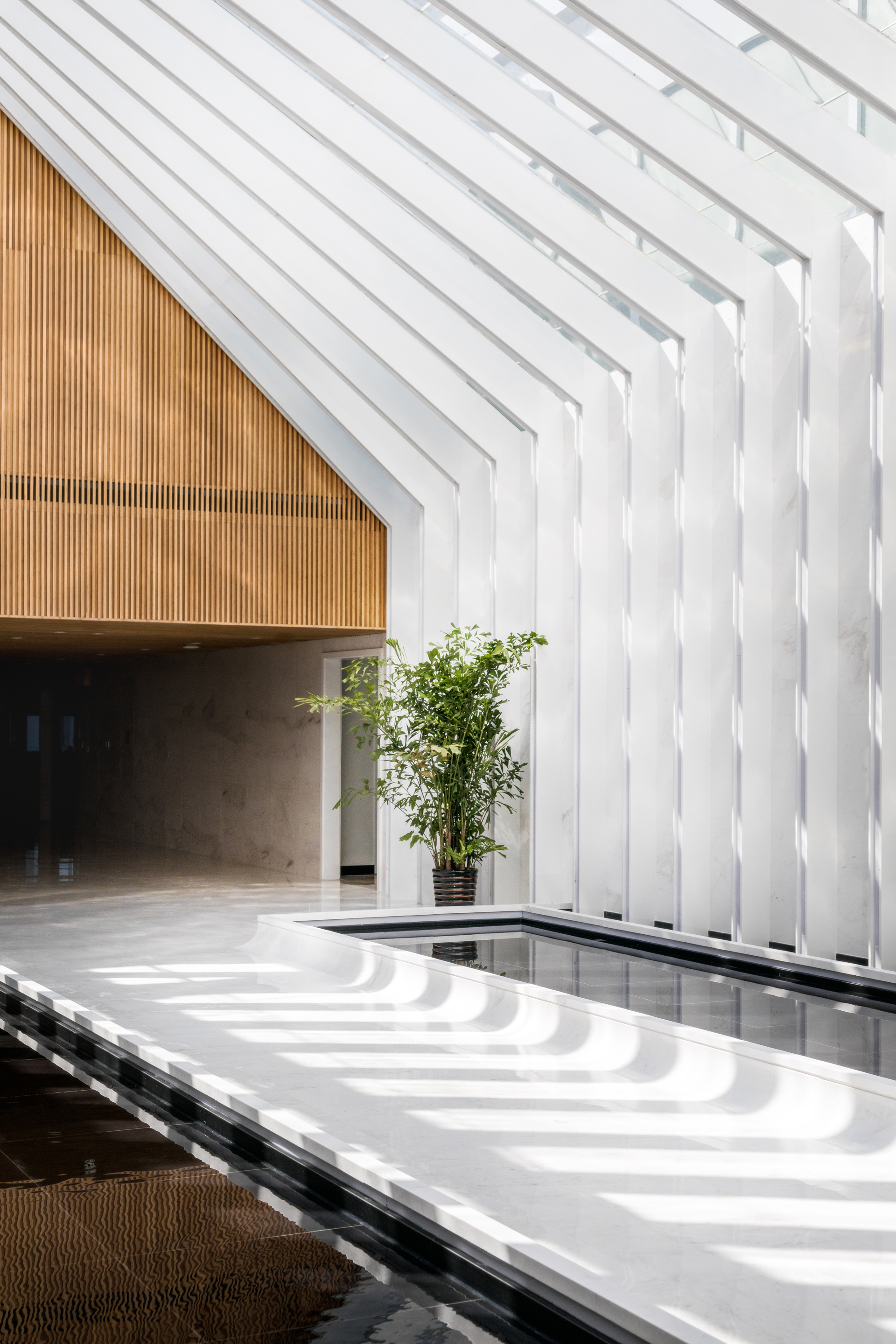 光之隧道 | 传统与现代的对话-26