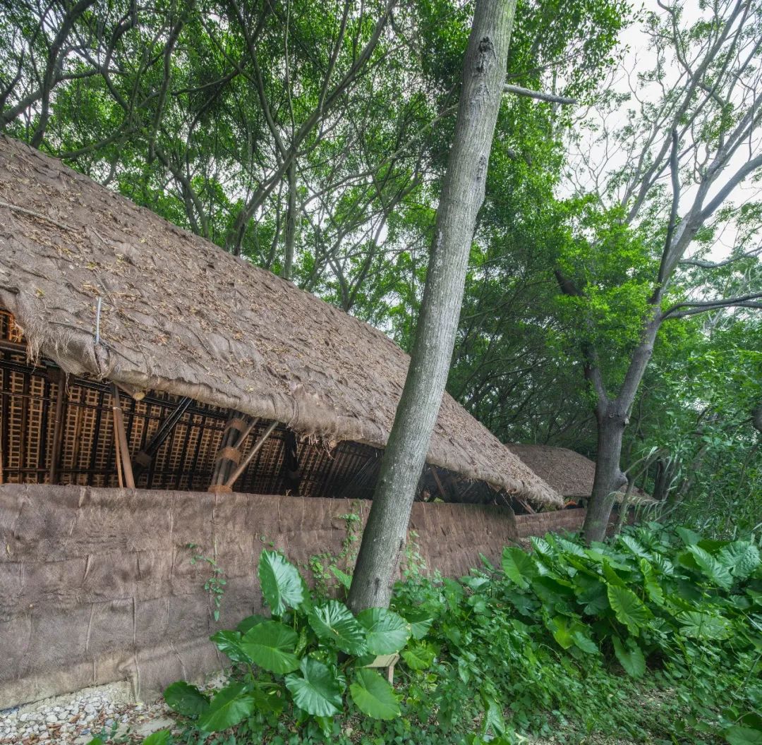 南沙湿地观鸟艺术竹构丨中国广州丨竖梁社,华南理工大学建筑学院-22