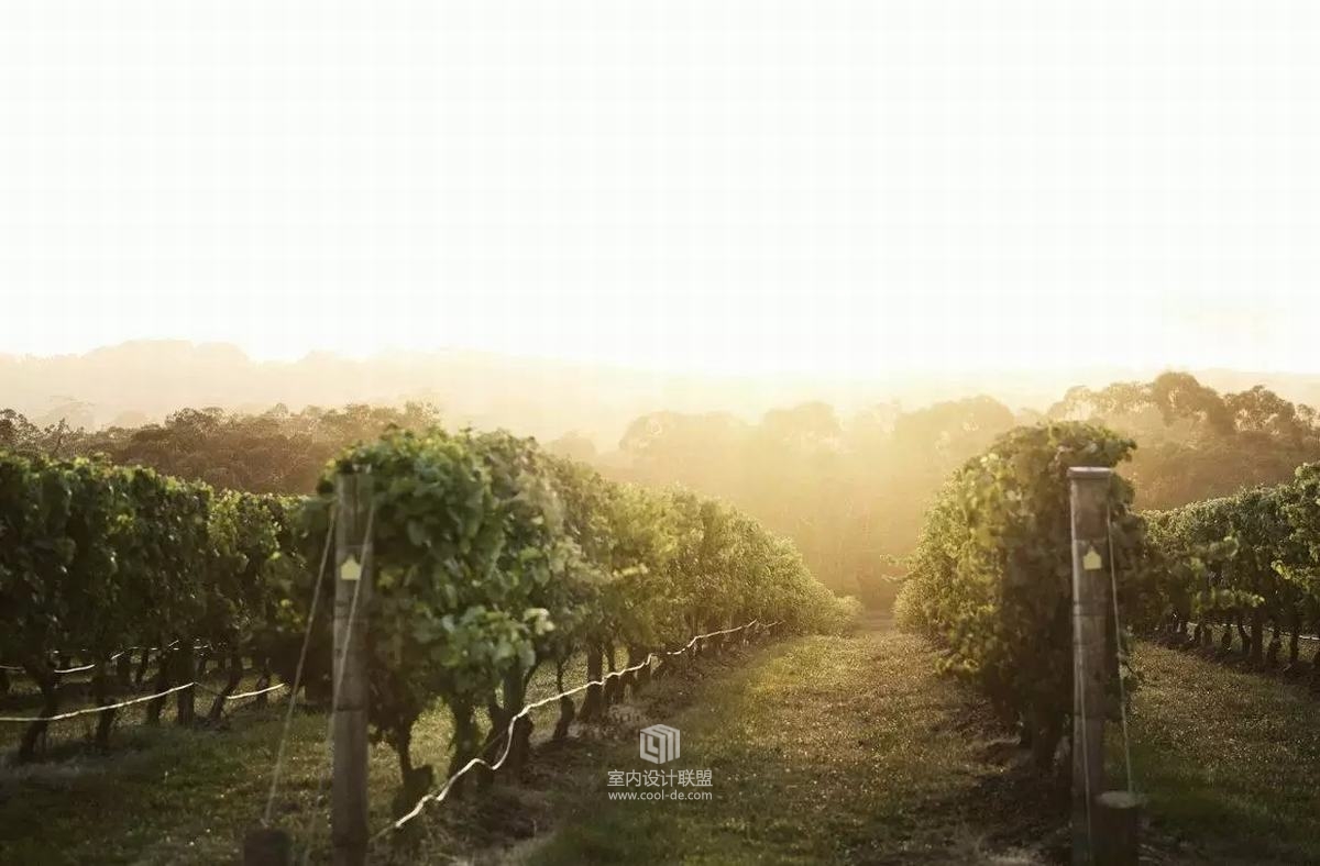 Jackalope  Hotel葡萄庄园新开的避世精品酒店-7