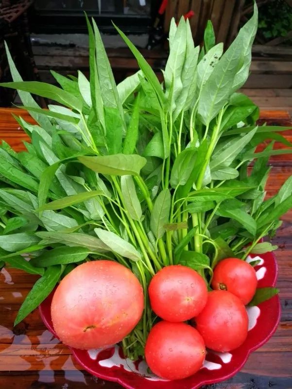 不惑之年，他自己动手建了一座楼顶花园，养花种菜喂鱼……-156