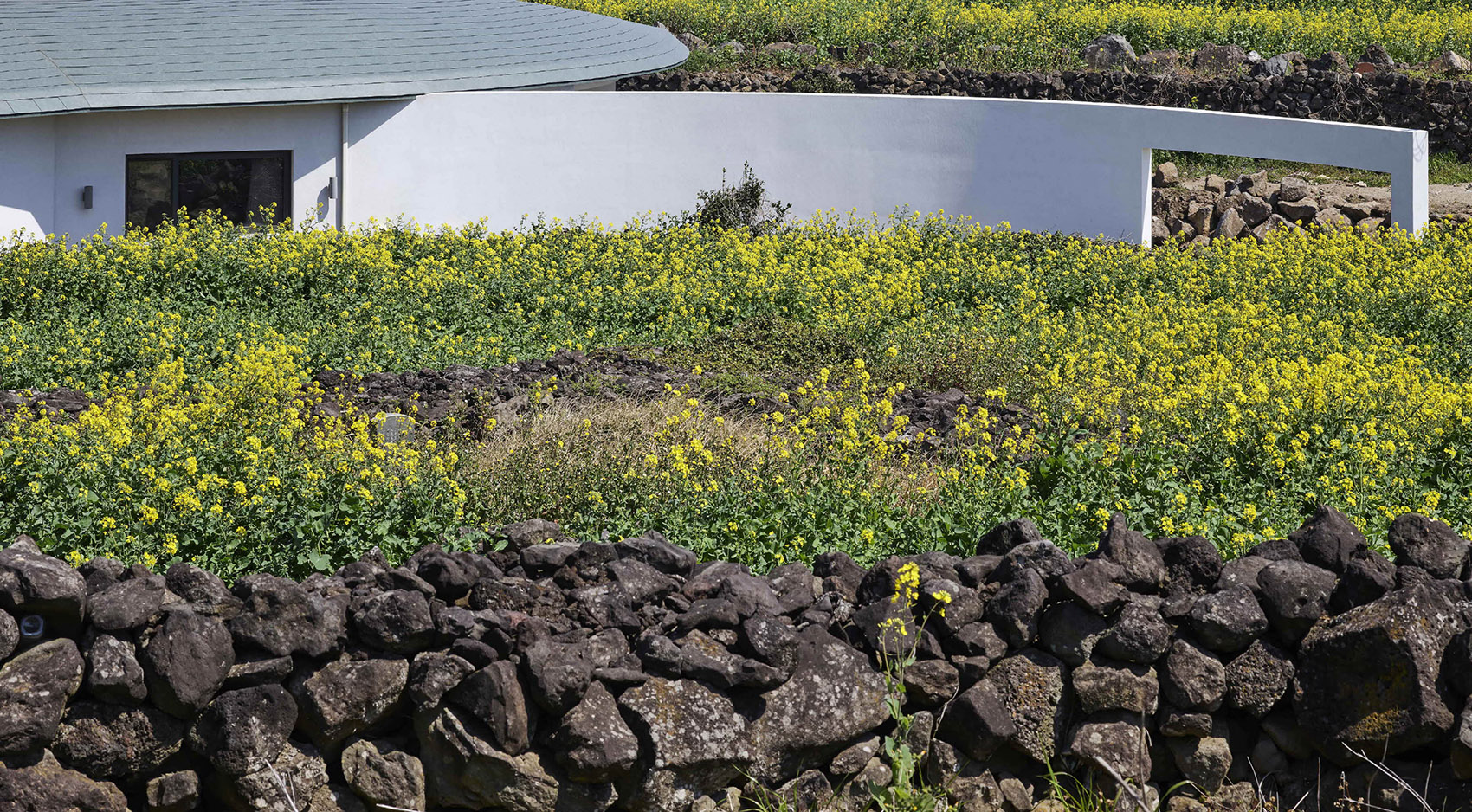 盖亚住宅，济州岛 / studio_GAON-68