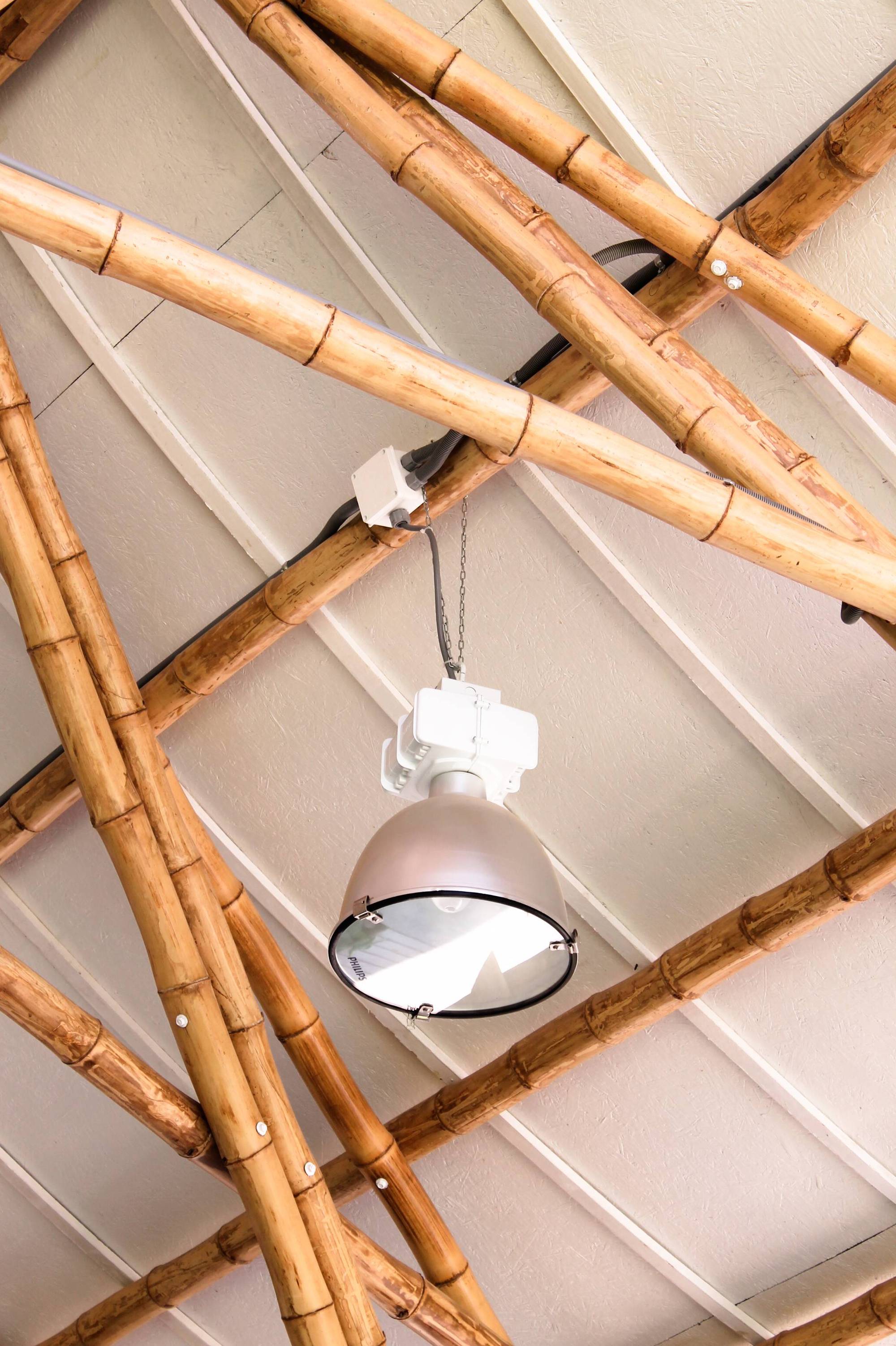 Bamboo Auditorium / Instituto de Vivienda, Urbanismo y Construcción de la USMP-28