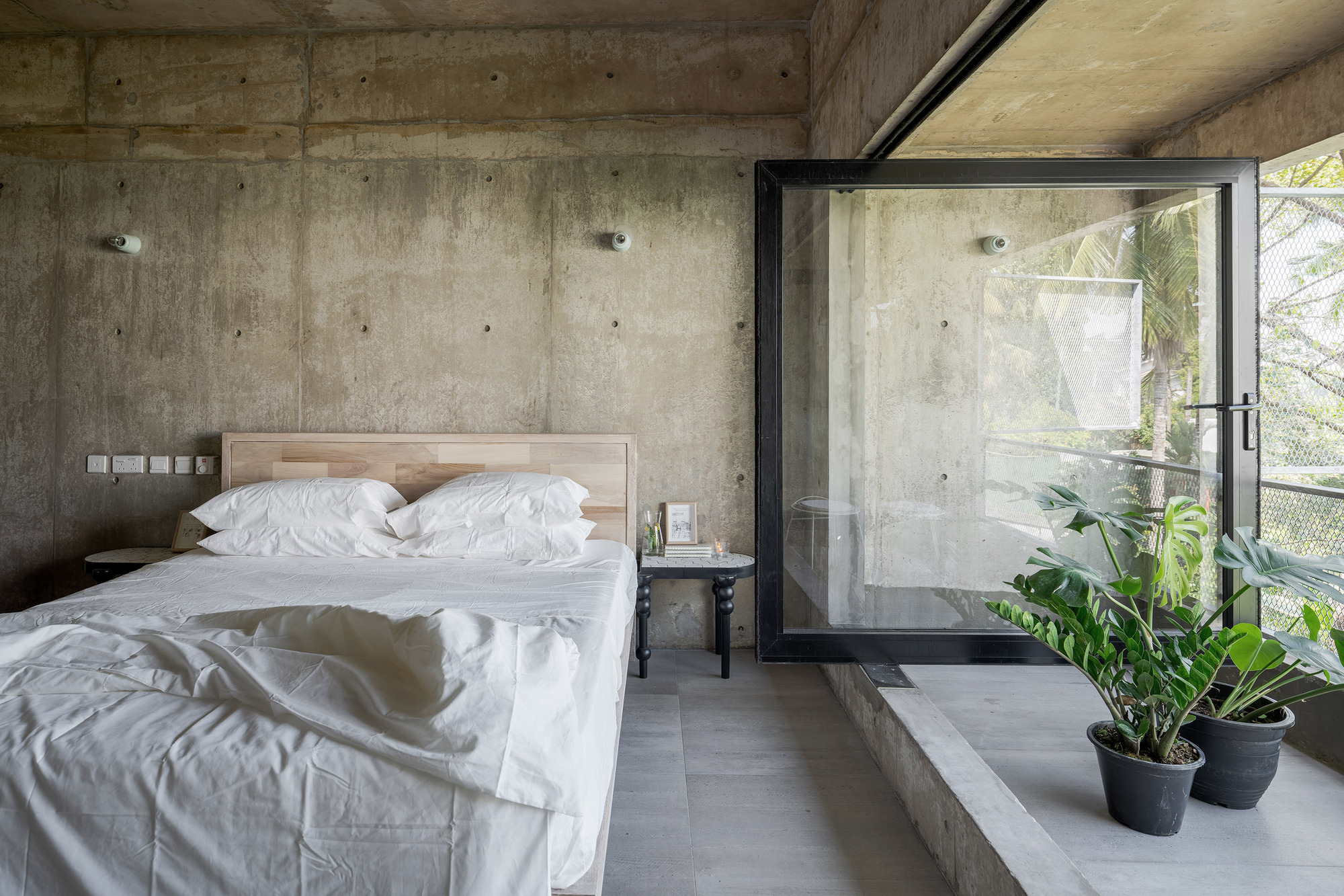 大树小植物屋丨Read Studio-23