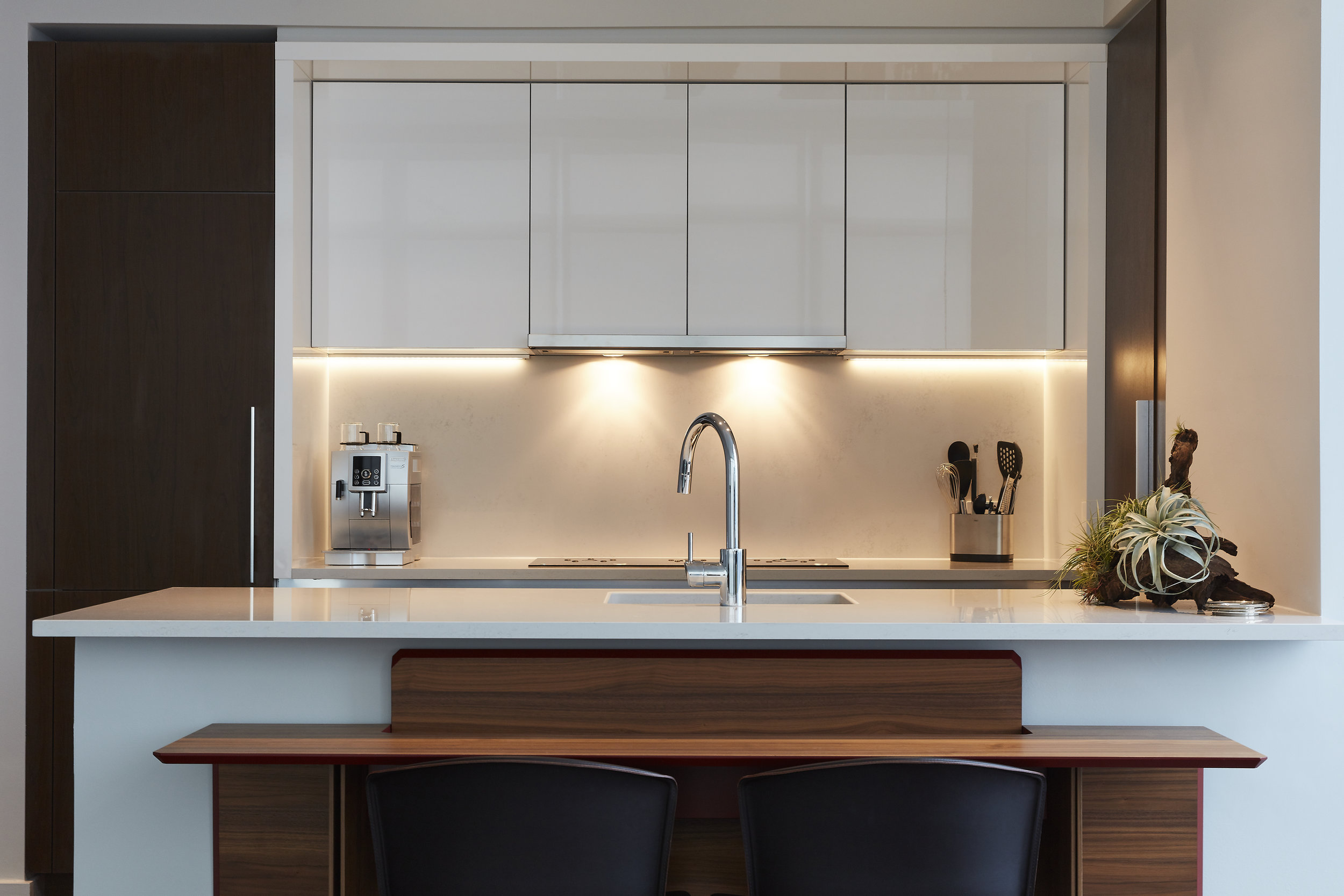 Brian Woulfe-LUXURY PENTHOUSE, NEW YORK-6