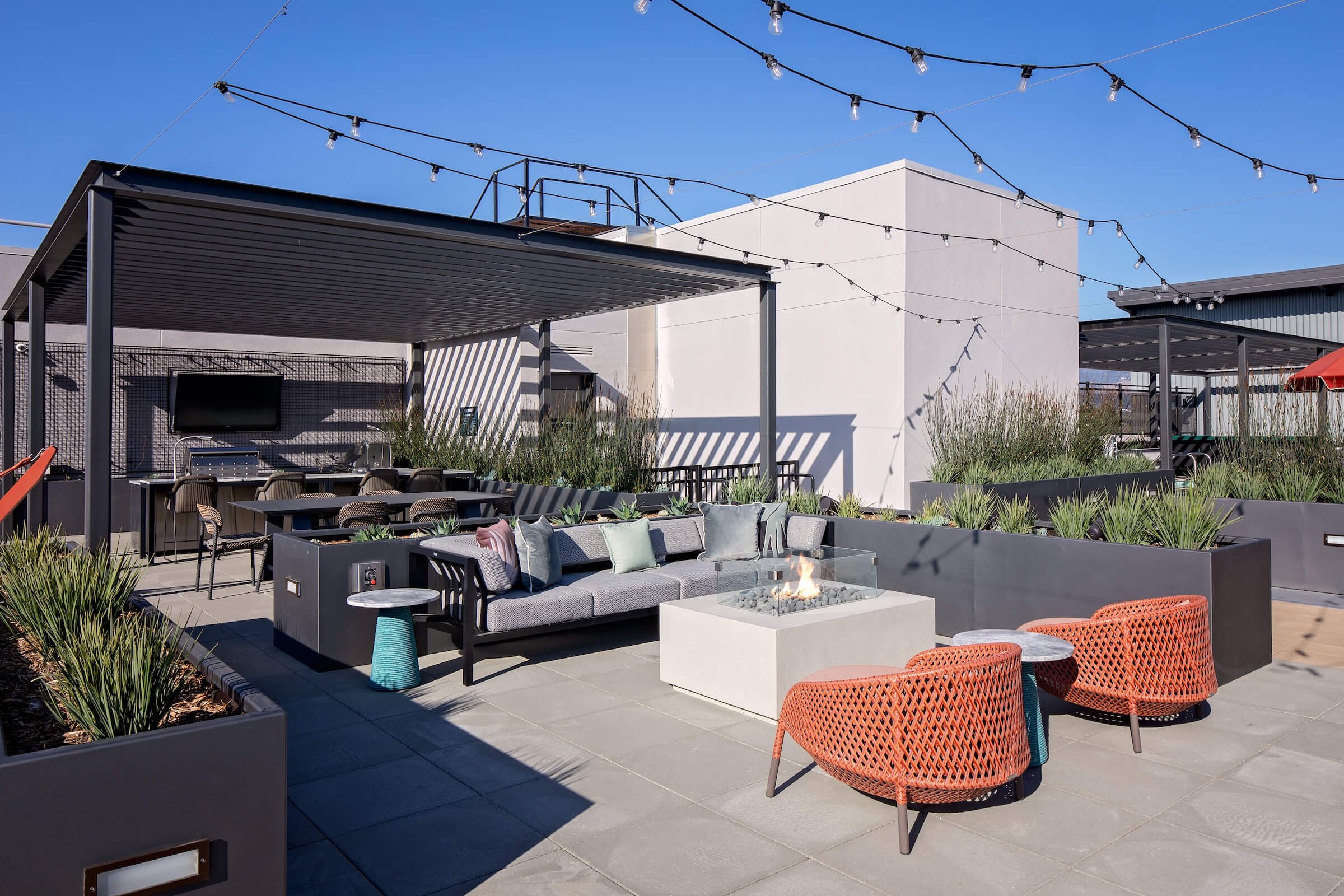 丨美国加利福尼亚-49