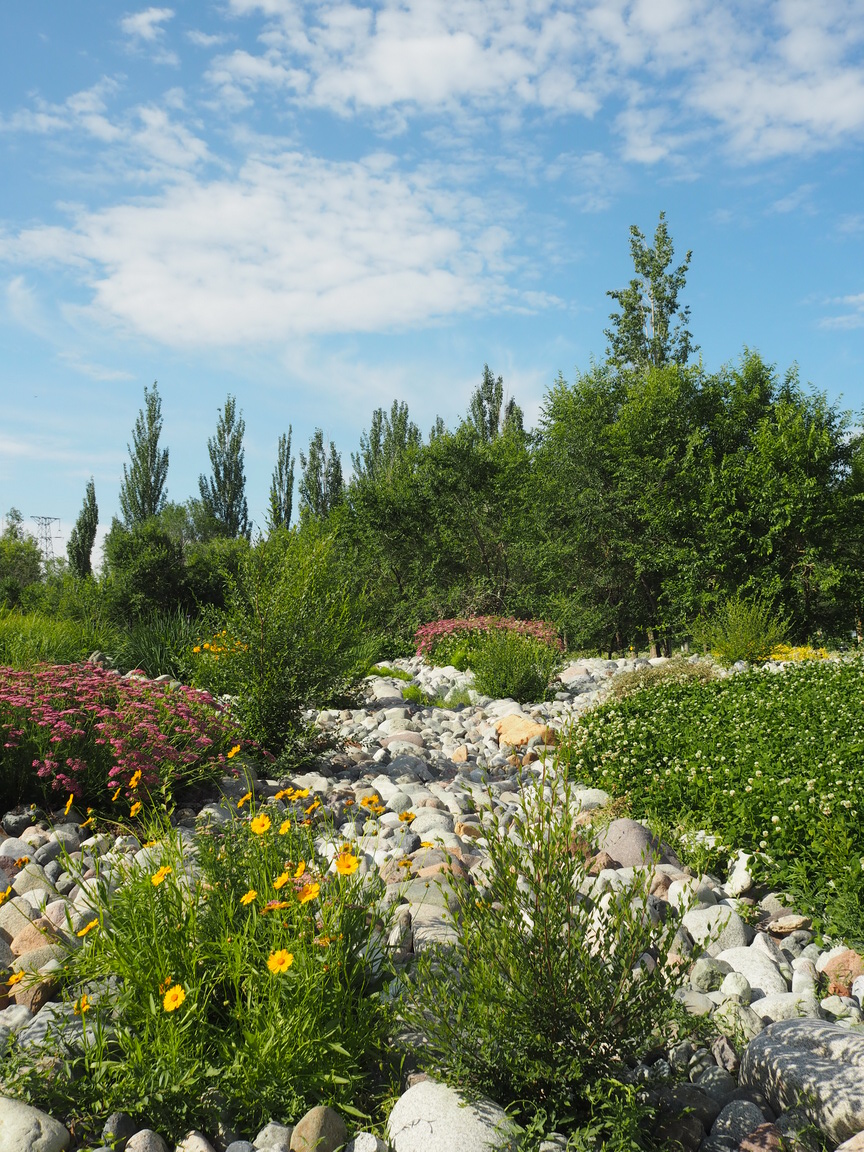 新疆博乐人民公园改造设计（A地块）丨中国新疆丨R  land北京源树景观规划设计事所-91