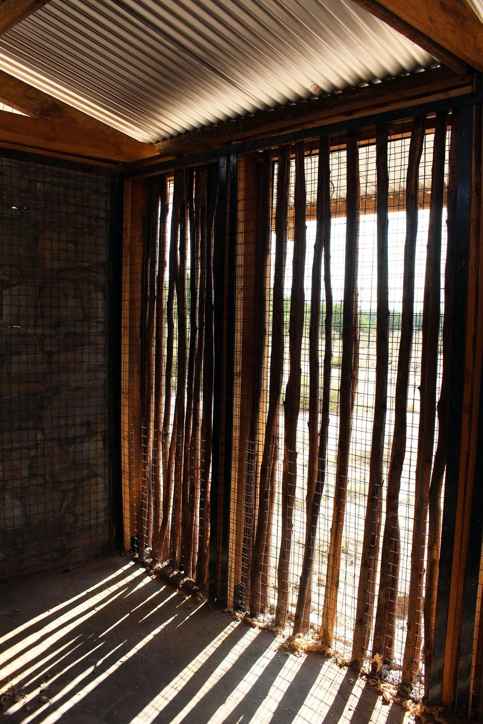 Tanzania 乡村女性助力自行车店-23