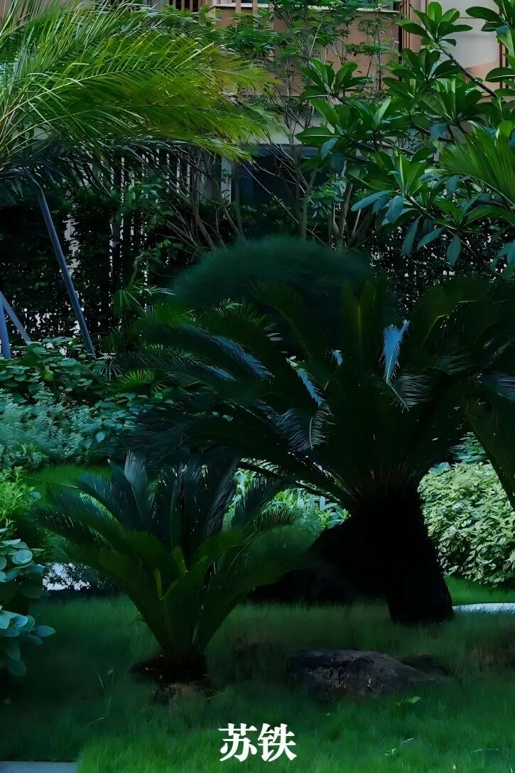 于热带秘境中编织生活美学|江东麓岛阅海澜岸2期花境项目-38