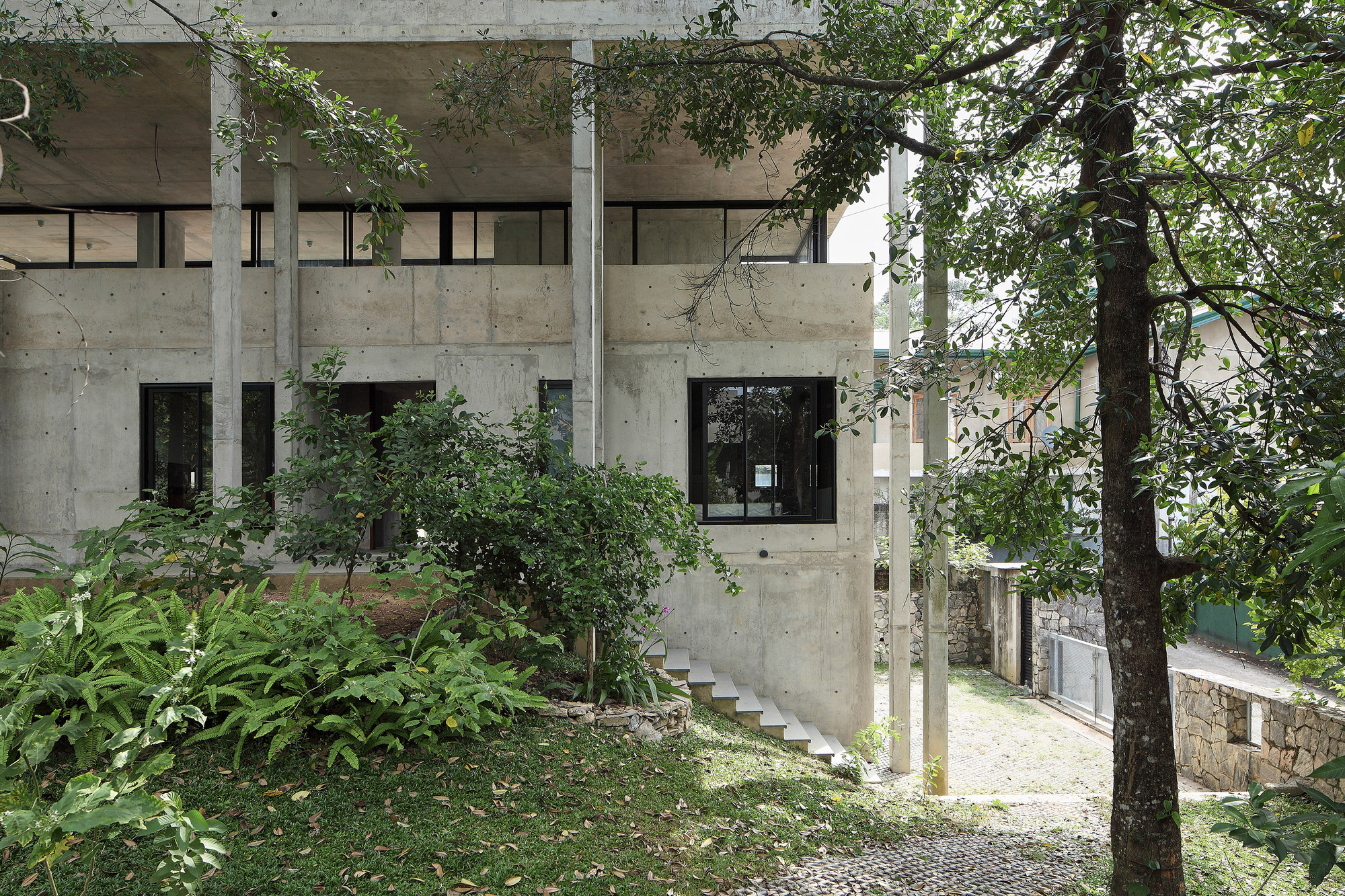 大树小植物屋丨Read Studio-44