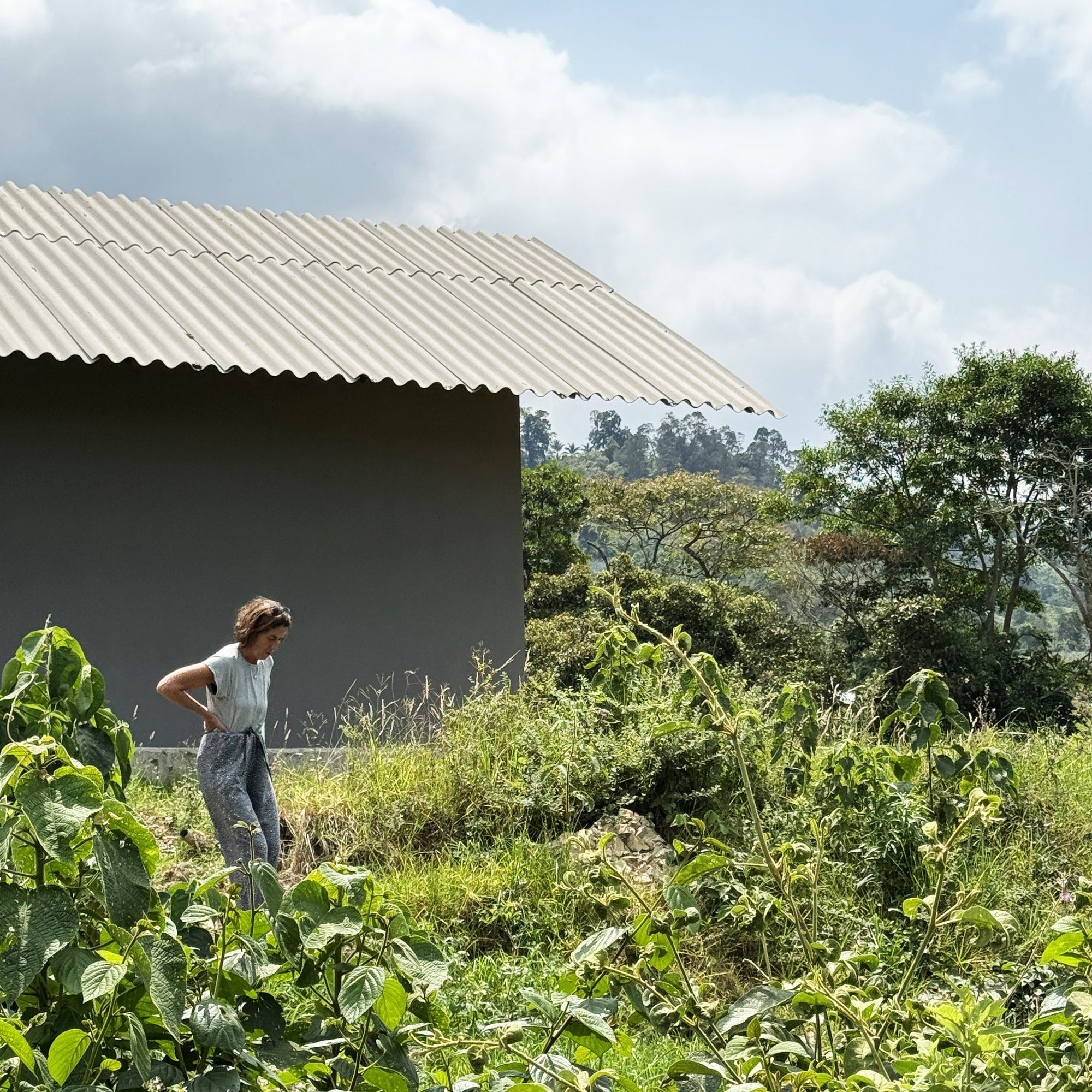 春季住宅丨哥伦比亚丨MASA-24