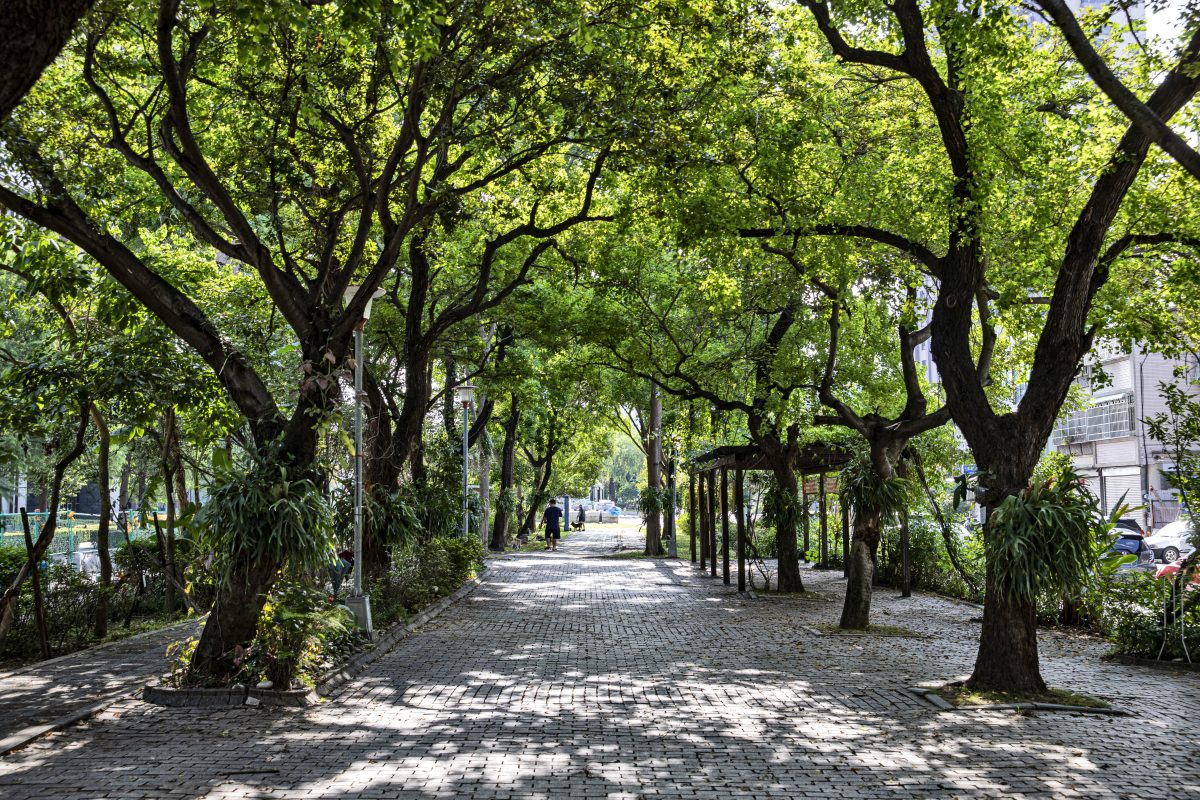 城心最美的人文綠海—澄亦實築 - WEHOUSE-1