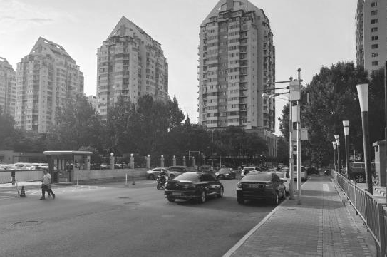 从课堂到街区更新实践！园林学院师生携手居民共建街巷“博物馆”-107